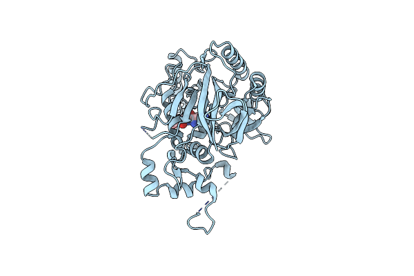 5B62 image