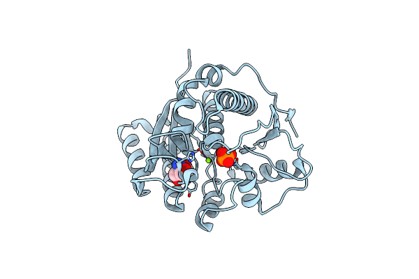5B6A image