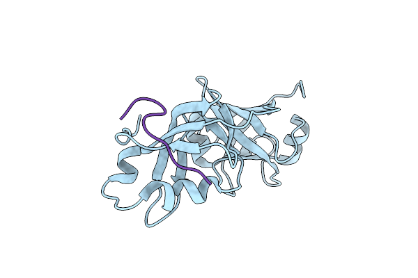 5B6C image