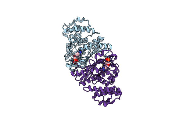 5B6D image