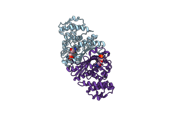 5B6E image