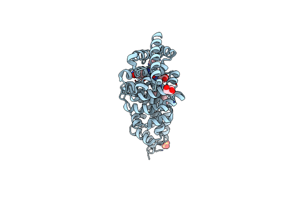 5B6G image