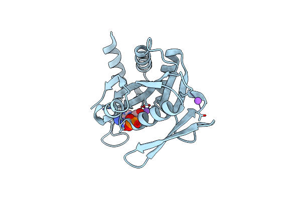 5B6H image