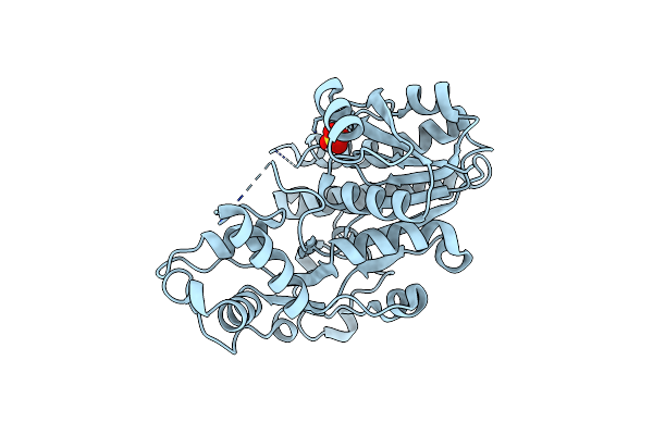 5B6K image