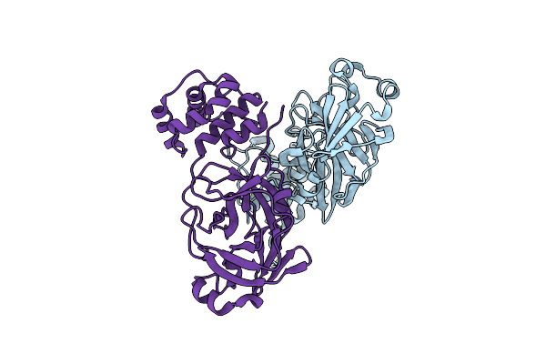 5B6O image