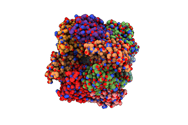 5B6P image