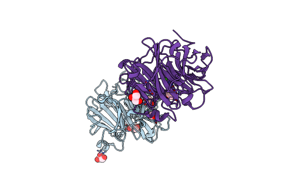 5B6T image