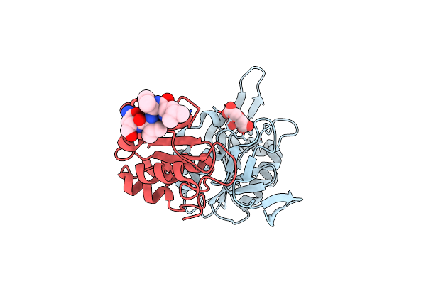 5B74 image