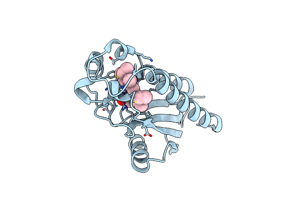 5B82 image