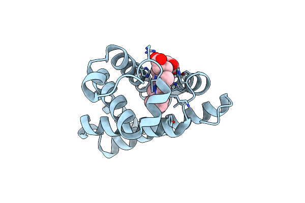 5B85 image