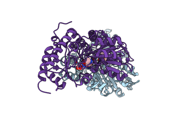 5B87 image