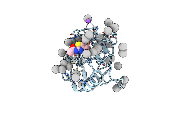5B8D image