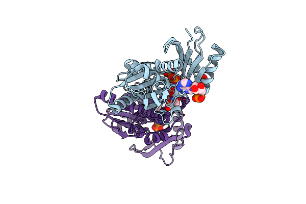 5B8H image