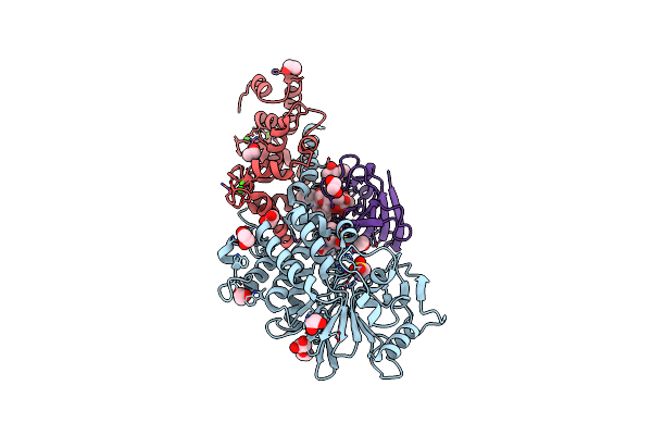 5B8I image