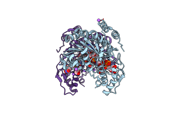 5BJX image