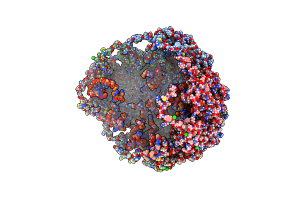 5BKN image