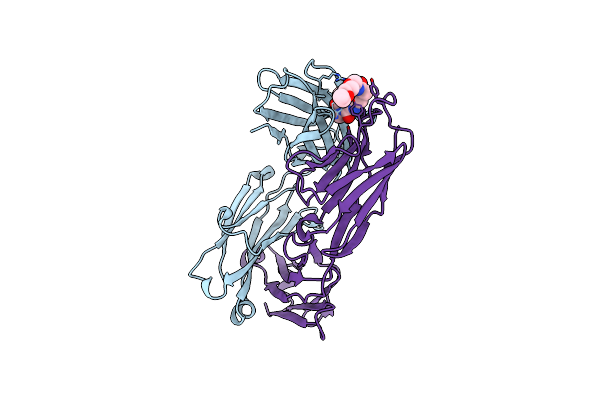 5BMF image
