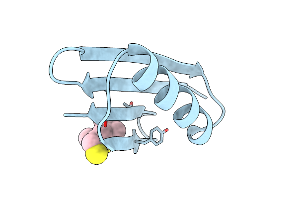 5BMH image