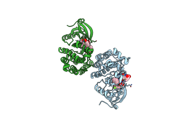 5BMM image