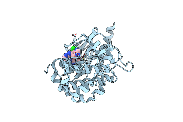5BMS image