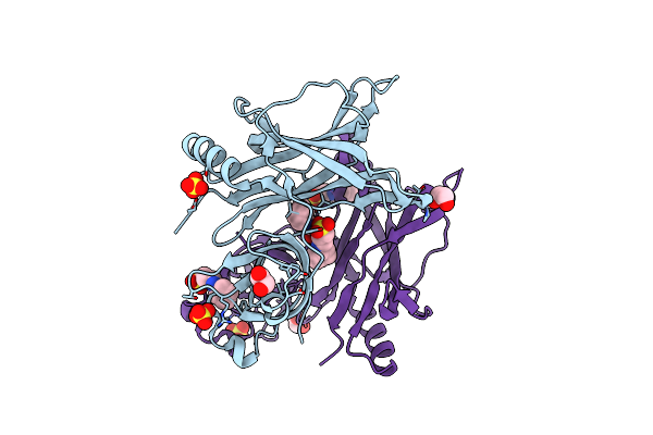 5BMT image