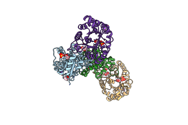 5BMX image