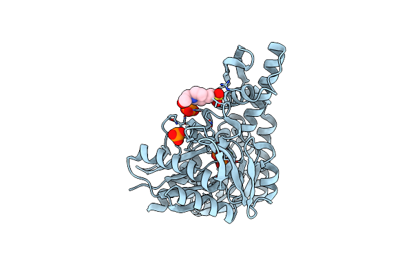 5BN8 image