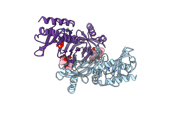 5BNC image