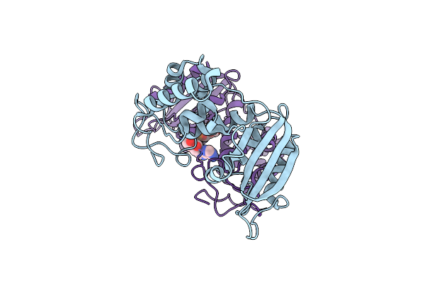 5BNI image
