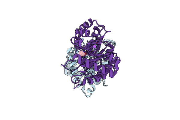 5BNK image