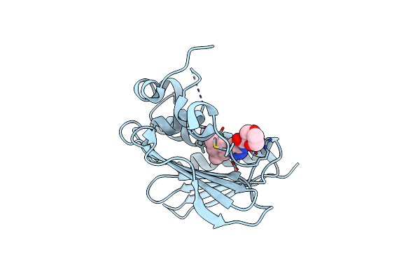 5BOD image
