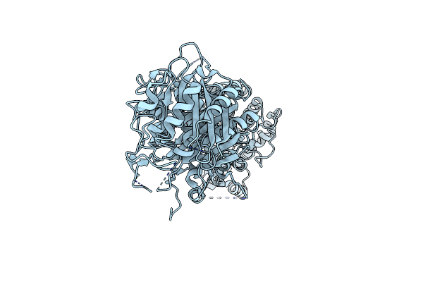 5BP1 image
