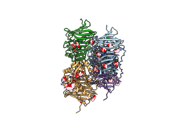 5BP2 image