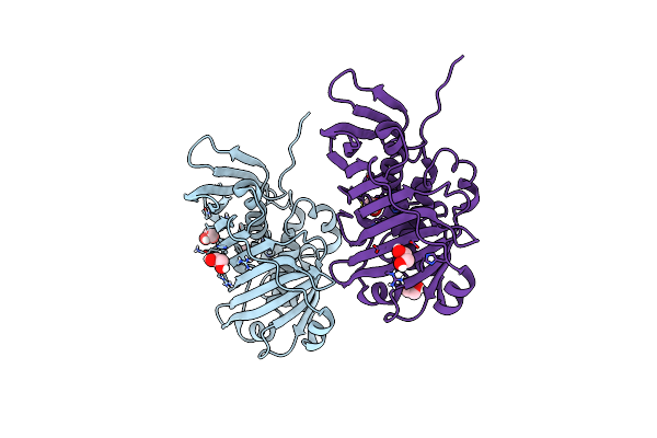 5BP3 image