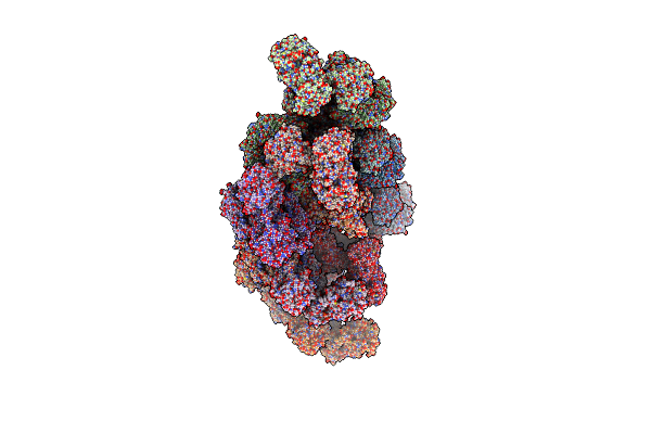 5BP4 image