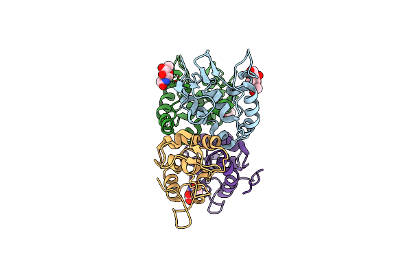 5BPB image
