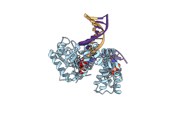 5BPC image
