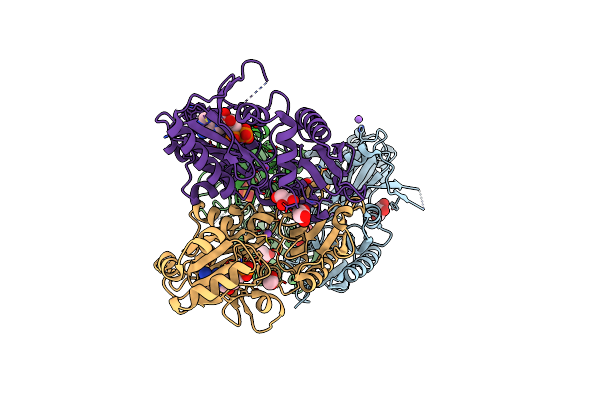 5BPF image