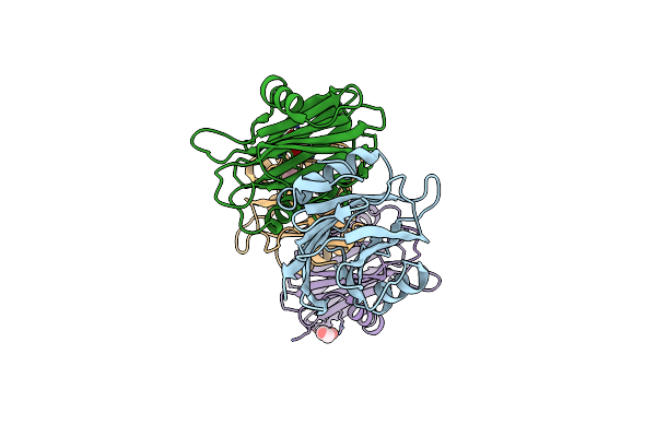 5BPG image