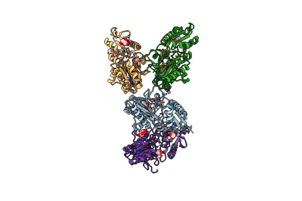 5BPH image