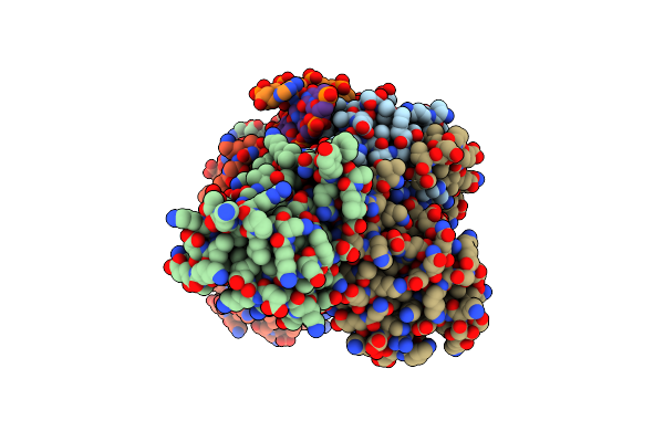 5BPI image