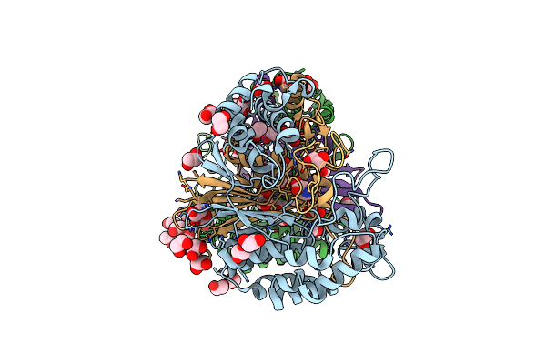 5BPK image