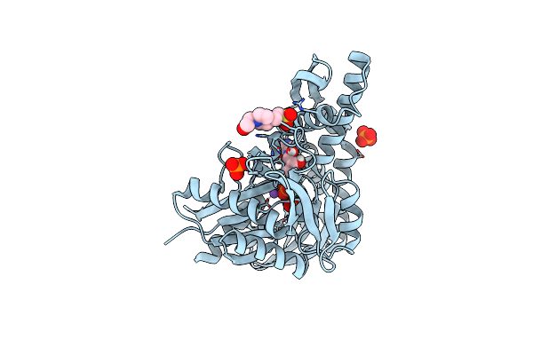 5BPL image