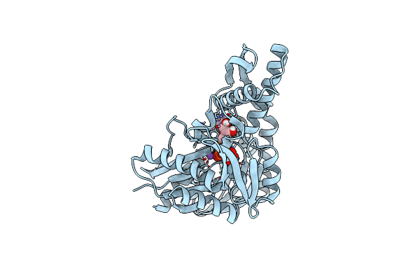 5BPM image