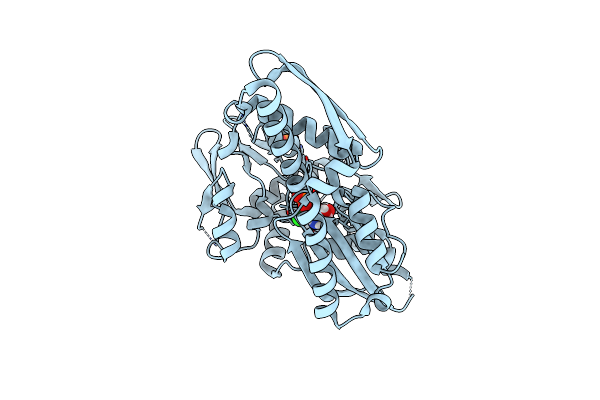 5BPN image