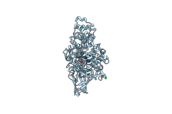 5BPP image