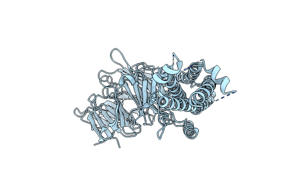 5BPT image