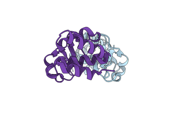 5BPV image