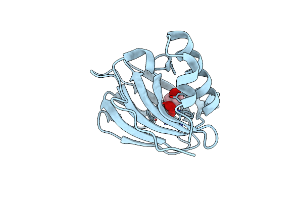 5BPX image