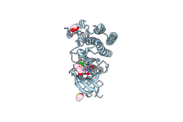 5BQ0 image